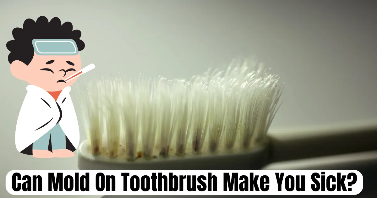 can-mold-on-toothbrush-make-you-sick-everything-you-need-to-know