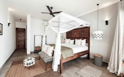 Ceiling Fan With Air Purifier