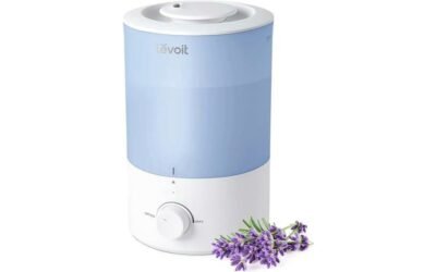 LEVOIT Dual 150 Humidifier Review