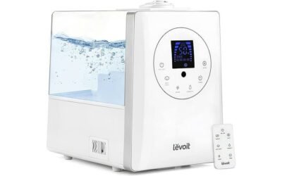 LEVOIT Humidifiers: A Comprehensive Review