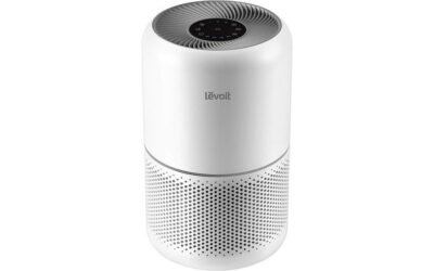 LEVOIT Air Purifier Review: Clean Air at Home