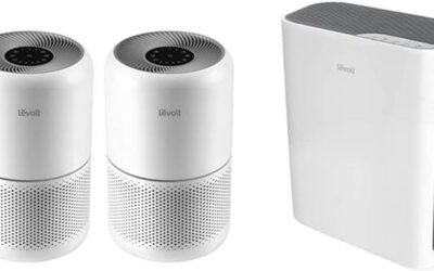 LEVOIT Air Purifier Review: Clean Air for All
