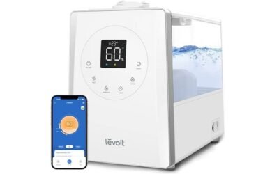 LEVOIT LV600S Humidifier Review: Whole House Comfort