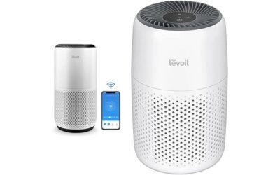 LEVOIT Air Purifiers: A Comprehensive Review