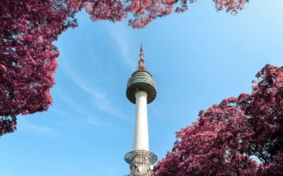 Does Infrared Kill Mold