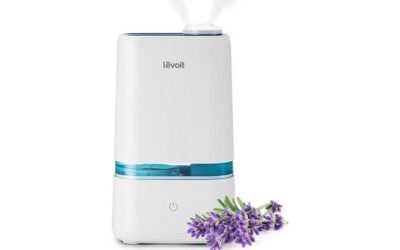 LEVOIT 4L Humidifier Review: Ultimate Comfort and Style