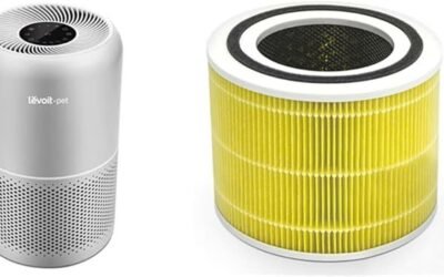 LEVOIT Air Purifier & Filter Review: Highly Effective
