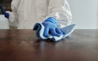 How to Get Rid of Cobweb Mold