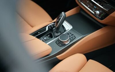 How to Remove Mold From Leather Car Interior