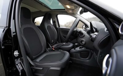 How to Remove Mold From Leather Car Seats