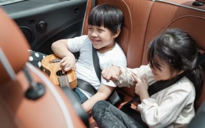 How to Get Mold Out of Seat Belts