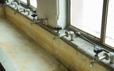 How to Get Rid of Mold Under Sink