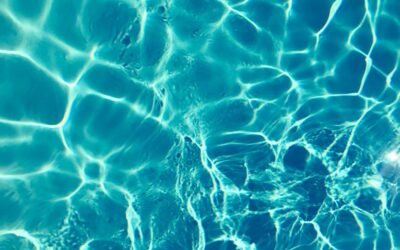 How to Get Rid of Water Mold in Pool