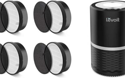 LEVOIT Air Purifier LV-H132-RF Replacement Filter: A Review