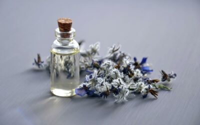 Air Purifier Fragrance Oil