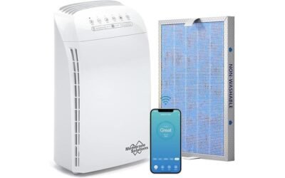 MSA3S Smart Air Purifier Review: Control and Convenience