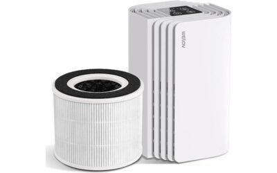 Welov P100 Mini Air Purifier Review