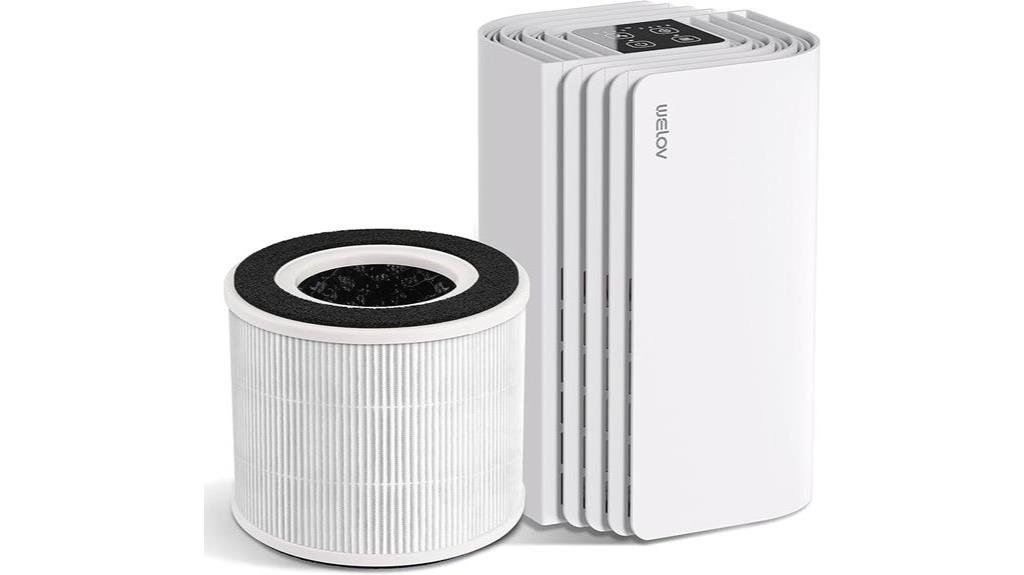 compact air purifier with strong performance