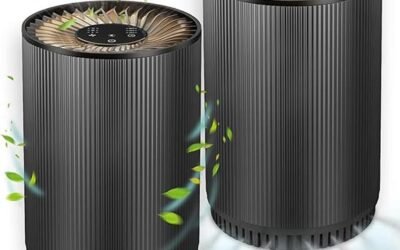 Druiap Air Purifier Review: Compact and Efficient