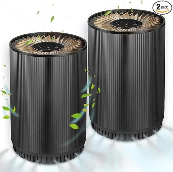 compact and efficient air purifier
