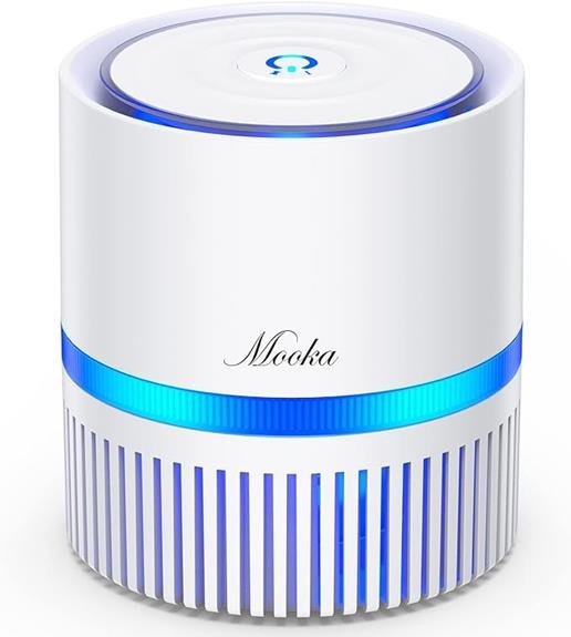 compact and powerful air purifier