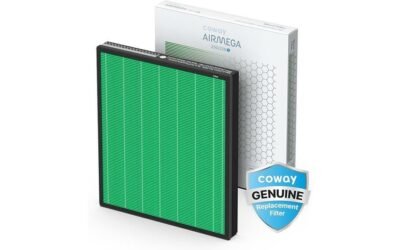Coway Airmega 250/250S Replacement Filter Review