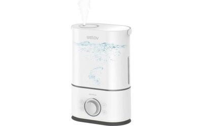 WELOV Humidifier Review: Cozy Mist for Healthy Living