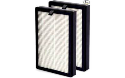NuWave OxyPure Filter 2-Pack Review