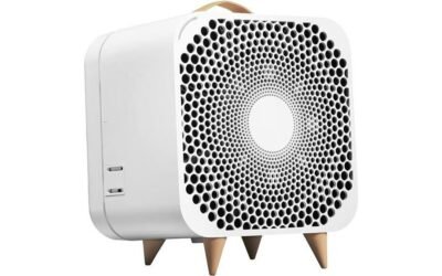 BLUEAIR Pure Fan Auto Review