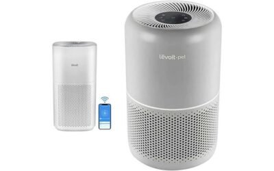 LEVOIT Air Purifiers: A Comprehensive Review