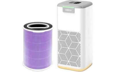 Welov P200S Air Purifier Review