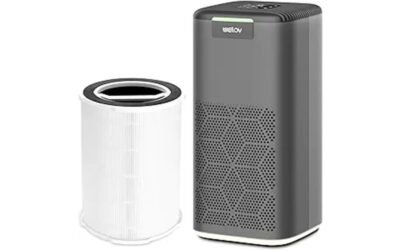 Welov P200S Air Purifier Review