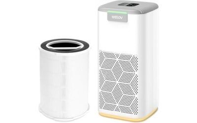 Welov P200S Air Purifier Review