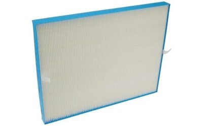 Winix 115122 PlasmaWave Filter Review