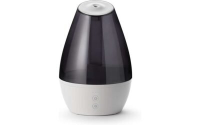 Winix L100 Ultrasonic Humidifier Review