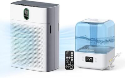 Review: MORENTO HY4866 Air Purifier & Humidifier