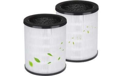 Druiap KJ80 Filter Review: Cleaner Air Guaranteed