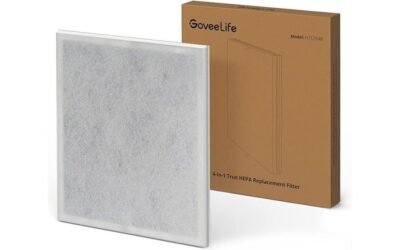 GoveeLife Air Purifier Filter Review: A Must-Have