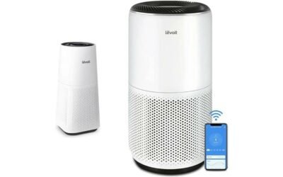LEVOIT Air Purifier Review: Clean Air Guaranteed