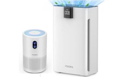 MOOKA Air Purifier Review: Clean Air Delivered