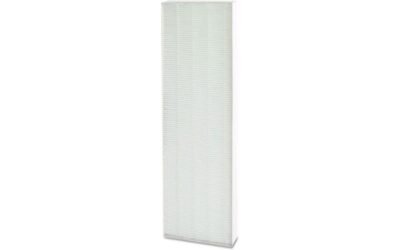 Aeramax True HEPA Filter Review: AeraSafe Antimicrobial Treatment