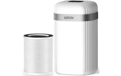 Welov P100 Bedroom Air Purifier Review