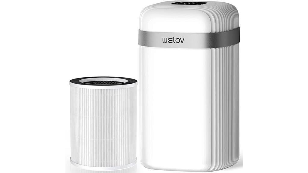 effective air purification system