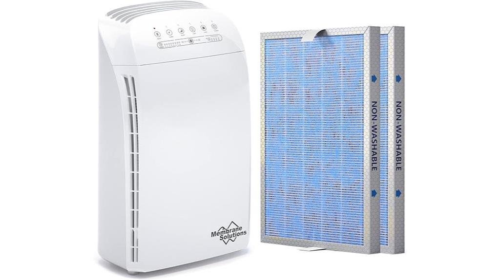 effective air purifier choice