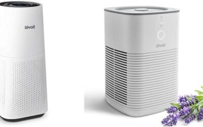 Levoit Air Purifier Review: Clean Air Guaranteed