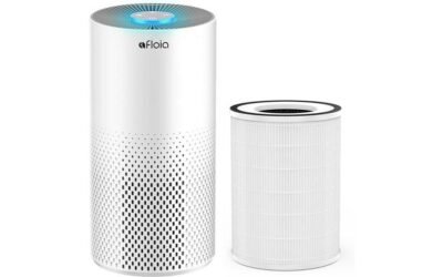 Kilo Air Purifier Review: The Ultimate Home Smoker's Solution