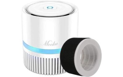 MOOKA Air Purifier Review: Clean Air at Home