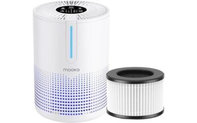MOOKA Air Purifier Review: Cleaner Air, Happier Home