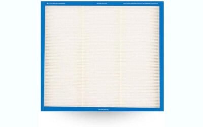 Homedics TotalClean HEPA-Type Air Purifier Filter Review