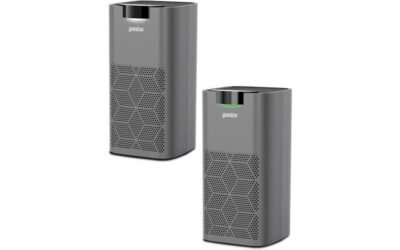 Ganiza Air Purifiers Review: Fresh Air for Allergy Relief